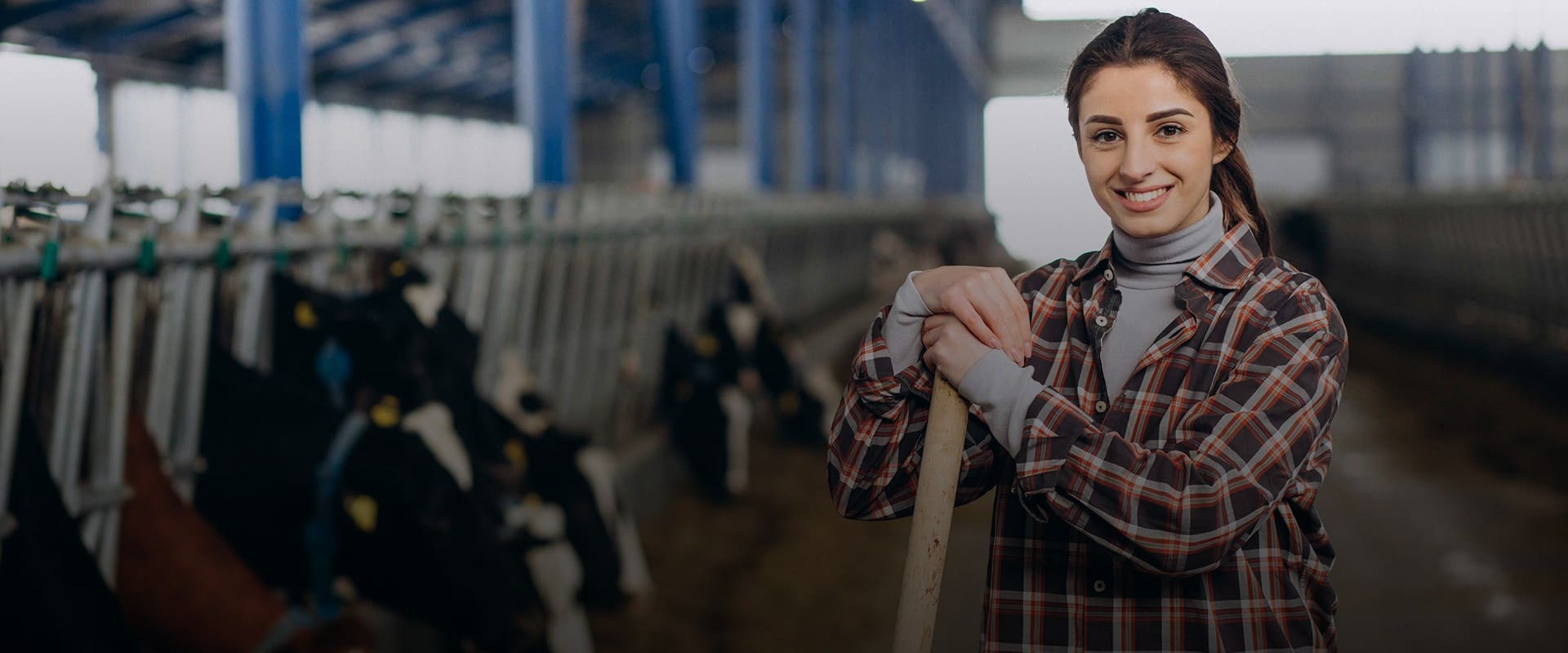 ЧПУП «Метрасалес»