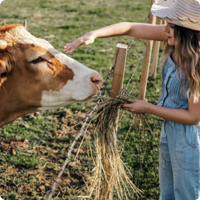 Найм сотрудников