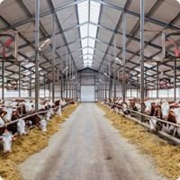 Поиск заказчиков